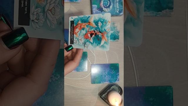 Твой мир - ты...