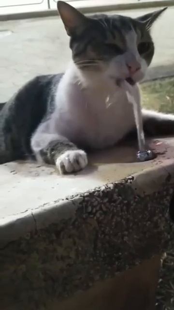 Человек! Воды!