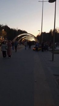 Сургут/Кедровый лог.
