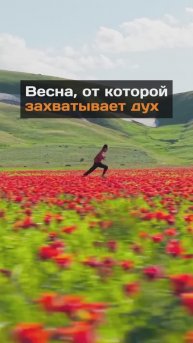 Завораживающая весна