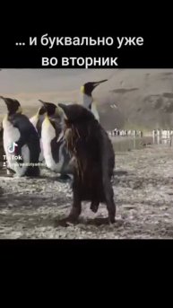 Улыбнитесь!