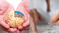 Способы борьбы с болезнью Альцгеймера