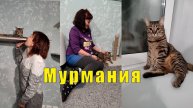 КОТЕЙНЯ МурМания Мурманск и Павел Рожков /04 и 05 мая 2025