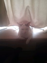 Снежинка