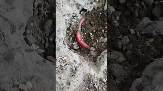 Поик утечки в одну плитку.