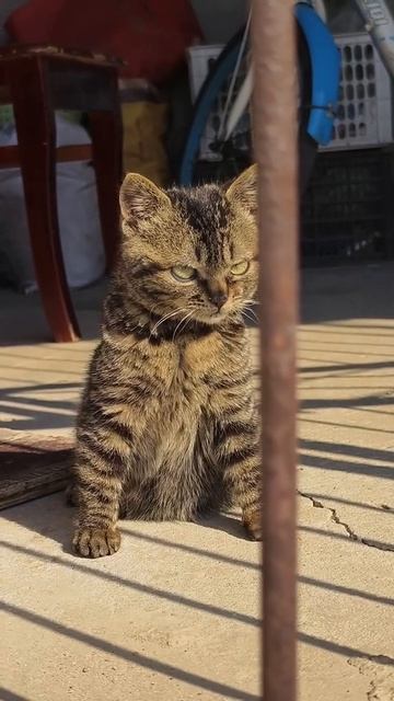 Ты никогда не будешь злее!