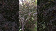 1000016561.mp4