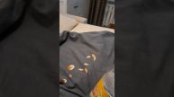 Аномалия ???