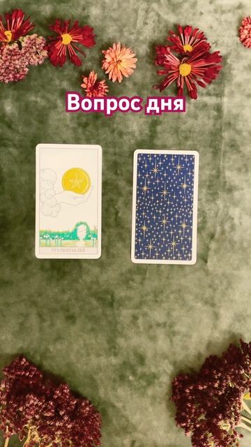 💥💥Вопрос дня💥💥                Что сделать, чтобы переста