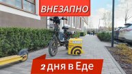 Яндекс Еда. Попытка заработать и не сдохнуть. МегаСТРАННЫЙ заказ в ЕДЕ
