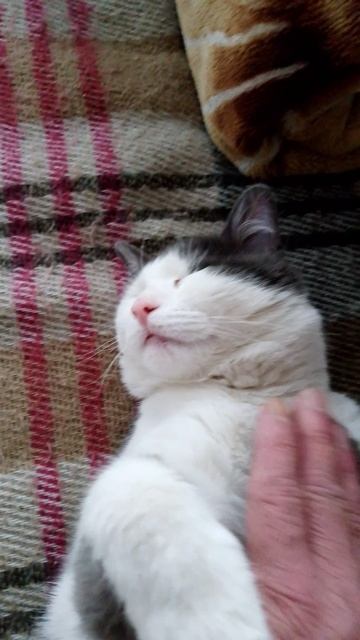 VID_20250326_180844