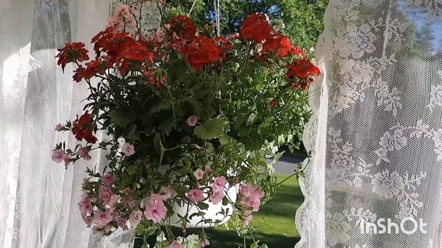 Хорошо, что День рождения только раз в году!