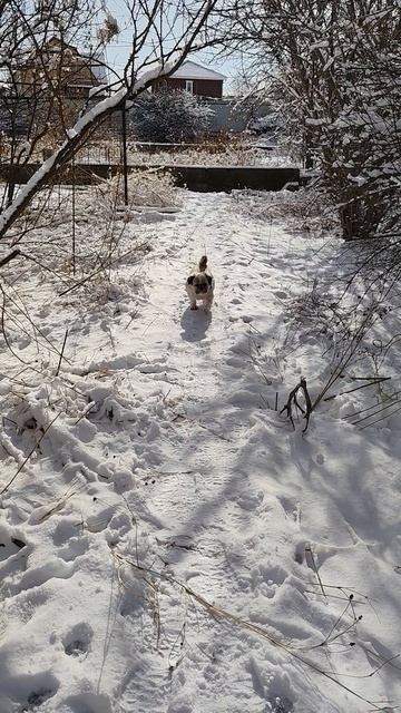 А мы тебя все ждем!
