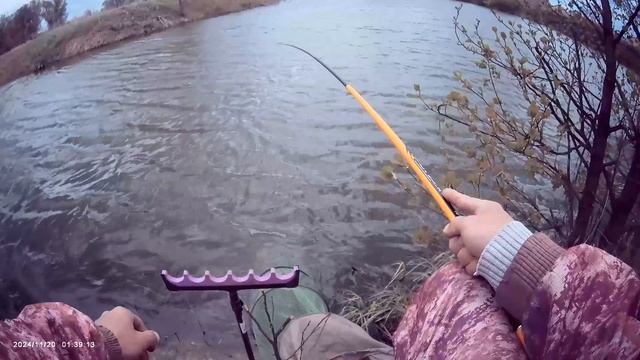 Рыбалка на поплавок🎣
Навозный червь👍
