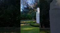 Лесные звуки и мурлыканье — отдых с котом