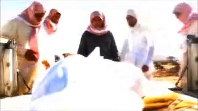 Аллох учун нима килдинг