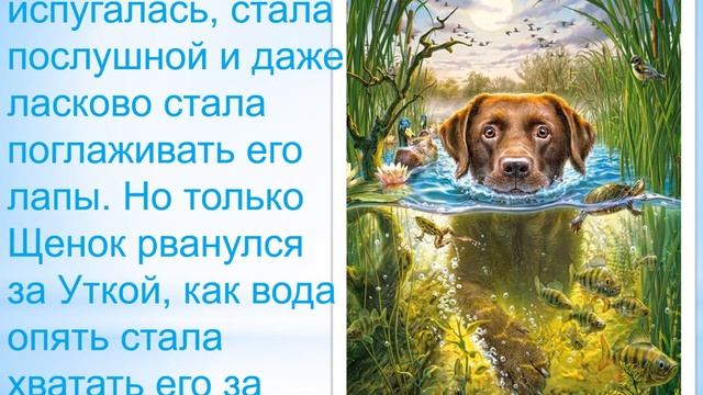 М. А. Андрианов. Злая вода (аудиосказка)