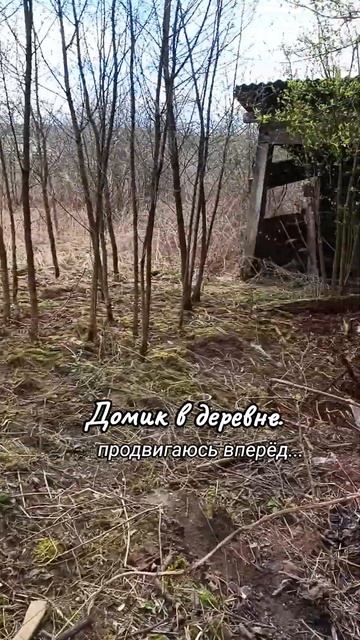 #расчисткаучастков #домиквдеревне #сарай #мусор #сад