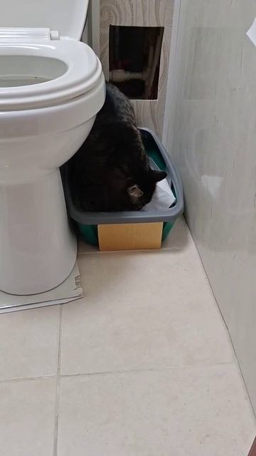 и сразу обратно