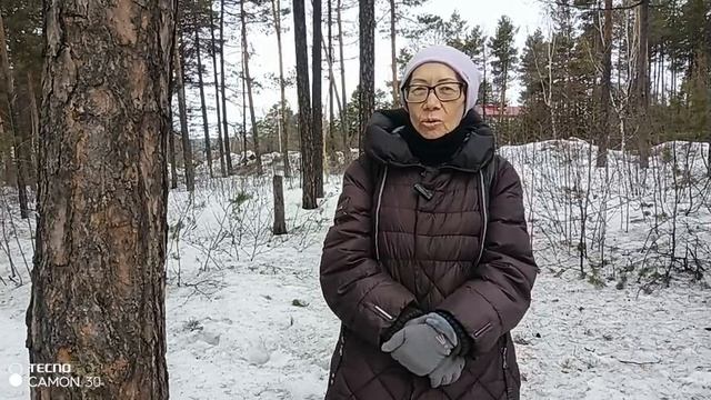 7.05.2025. Проведаю мой лесочек