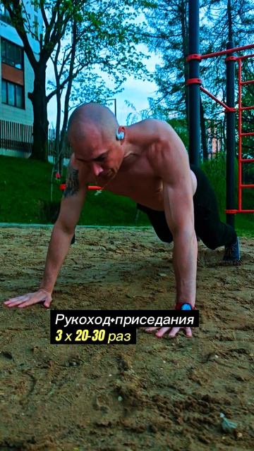 Получасовая тренировка для начинающих #nogymworkout #sports #shorts #начинающим #fullbodyworkout