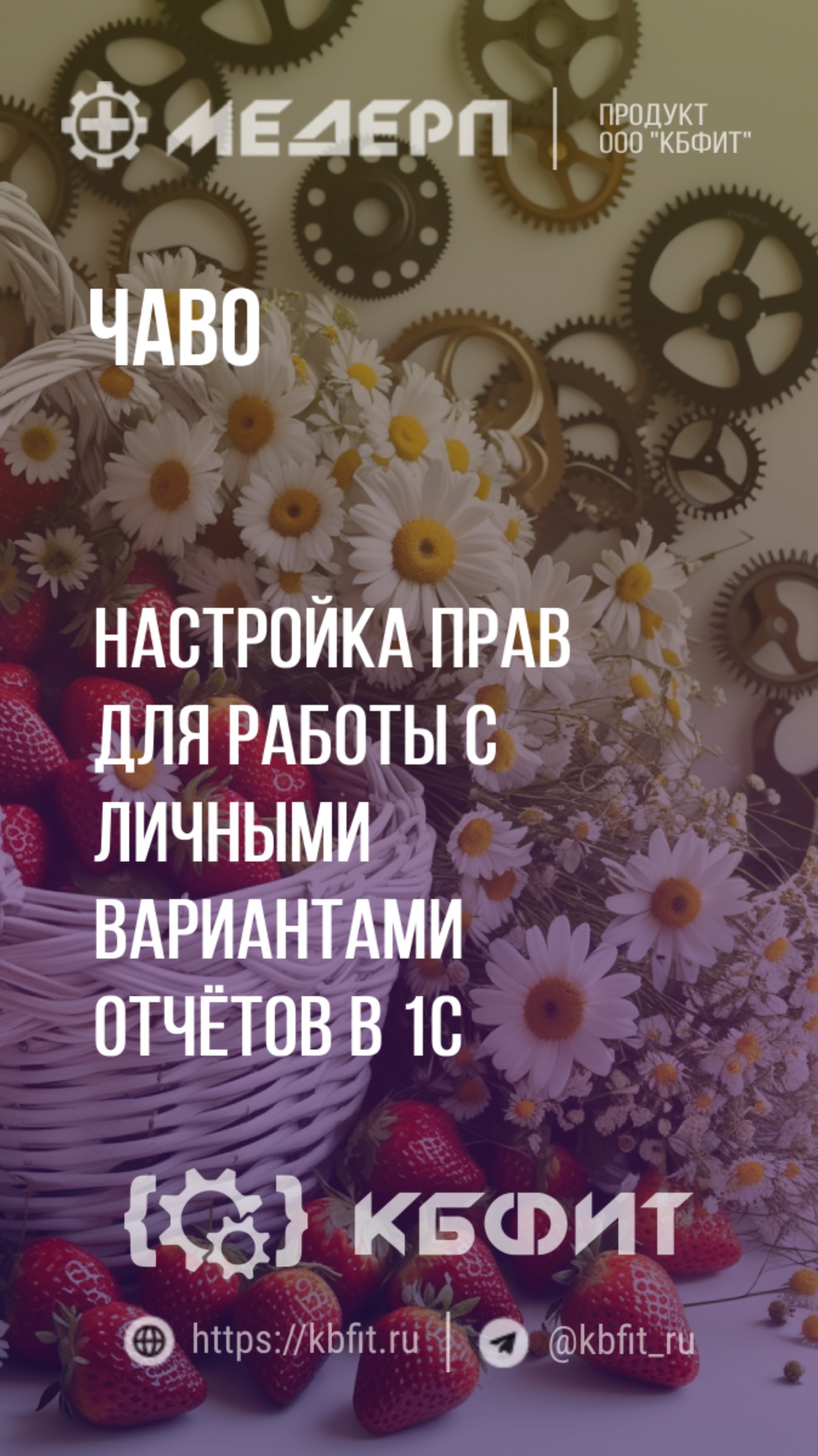 КБФИТ: МЕДЕРП. ЧАВО: Настройка прав для работы с личными вариантами отчётов в 1С. Ч.2.
