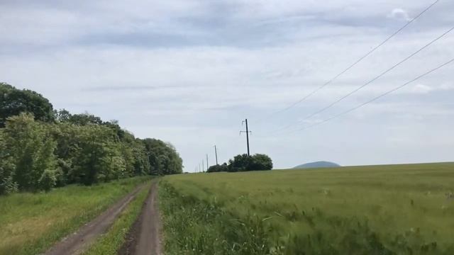 Предгорный р-он