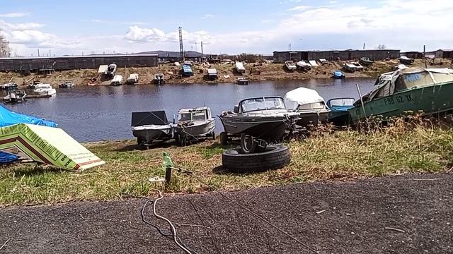 Лебедь.mp4