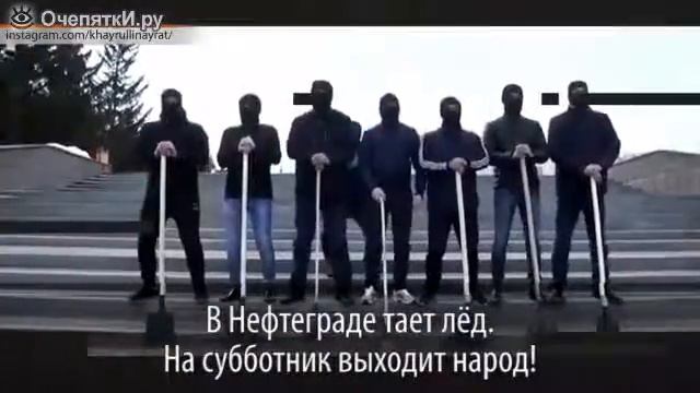 смешные видео