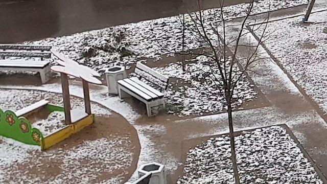 Батат и топинамбур. Ждём тепло.