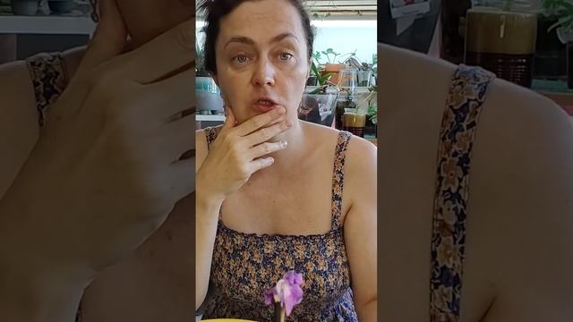 Две новые орхидеи. Видео уже на https://dzen.ru/video/watch/66d5e2dd949717