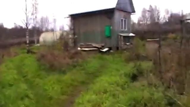 Влог из деревни //печка//наш участок//хвойники ни участке(архив)