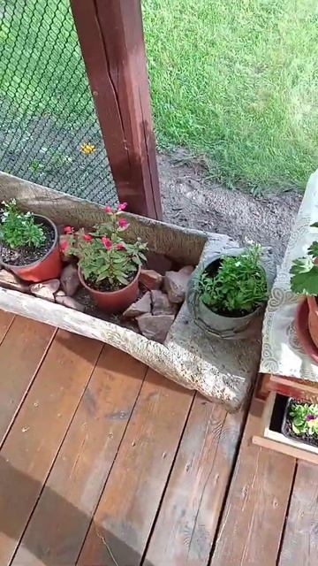 реконструкция беседки,дизайн