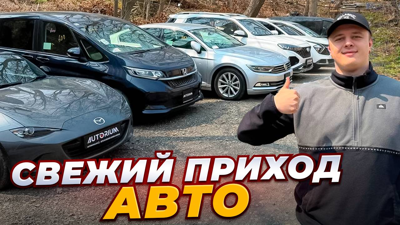 Свежий приход из Японии Кореи и Китая Honda Freed Hyundai ix35 Staria Mazda VW Passat Kia Sportage