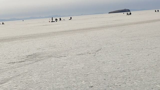 Народная забава Владивостока. Зимняя рыбалка. Японское море. Амурский залив.