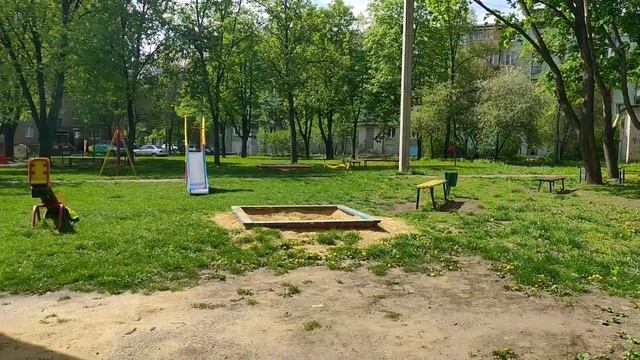 Как приготовить грибы. Грибы на мангале! Шампиньоны. С?