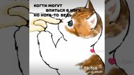 1000029530.mp4