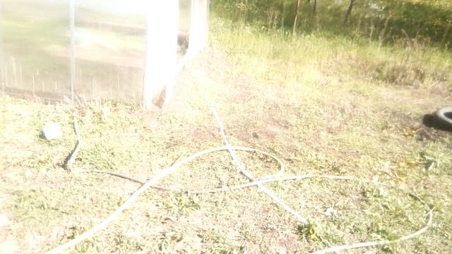 Цветут сады - задел на урожай! Обход хозяйства...