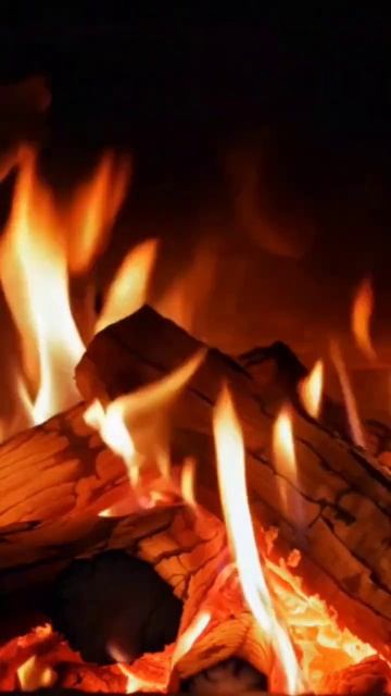 Залипательные видео #релакс #костер #атмосфера #уют