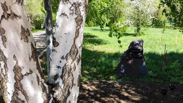 Памятники Кувандыка. Холм Славы - Родина Мать.