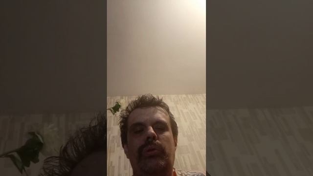 интересная история  о заповеднике алтай