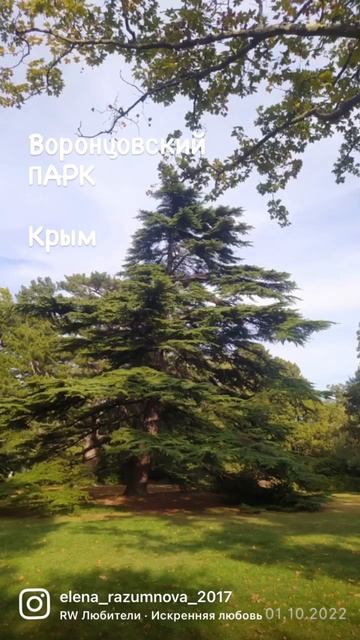 КРЫМ. Воронцовский парк 2.10.2022