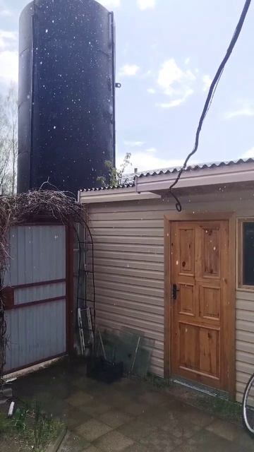 Дождь и солнце одновременно 🌦️