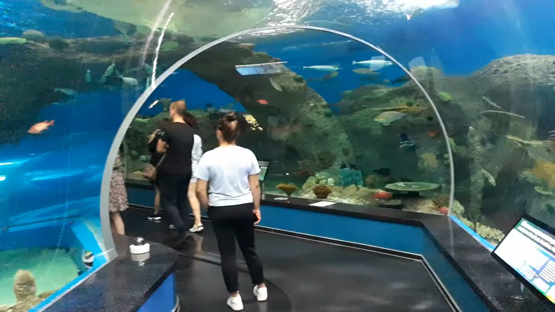 Океанариум на острове Русский.