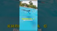 Билатеральное дыхание - главное, что надо запомнить! Смотрите!!