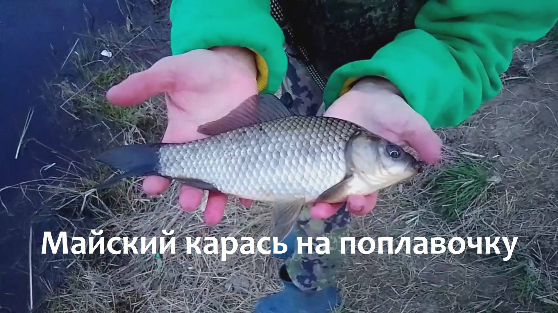 Рыбалка Карась майский на поплавочку