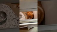 Как трагедия с поездом изменила жизнь навсегда... | Рыжик