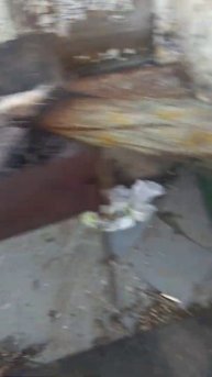 колбаски на костре