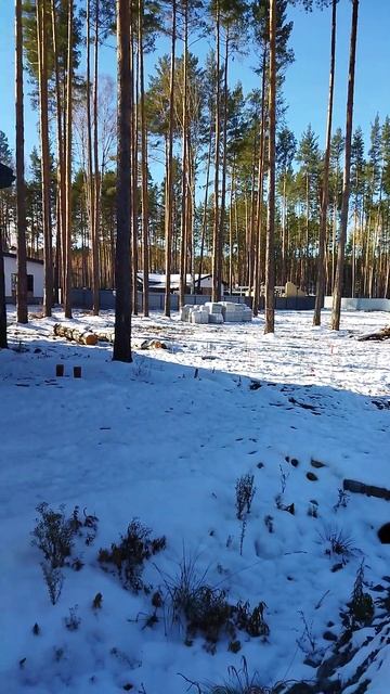 Топосъемка участка. Ландшафтный дизайн.