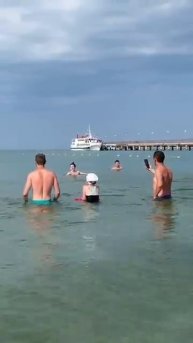 Дельфин🐬на чёрном море⛵